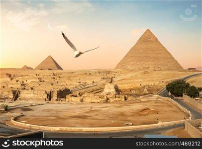 Pyramids of Giza and the Great Sphinx, Egypt