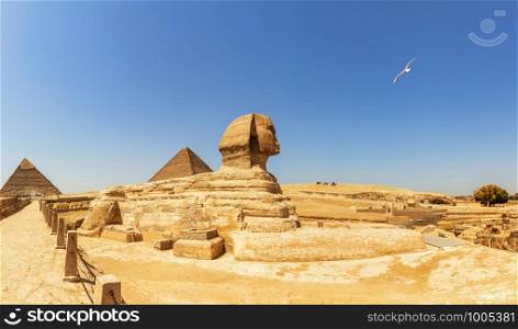 Pyramids of Giza panorama, view on the Sphinx, the Pyramid of Cheops and the Pyramid of Chephren.. Pyramids of Giza panorama, view on the Sphinx, the Pyramid of Cheops and the Pyramid of Chephren