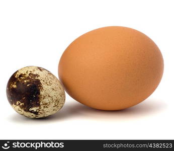 quail and hen&rsquo;s eggs isolated on white background close up