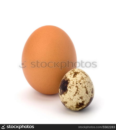 quail and hen&rsquo;s eggs isolated on white background close up