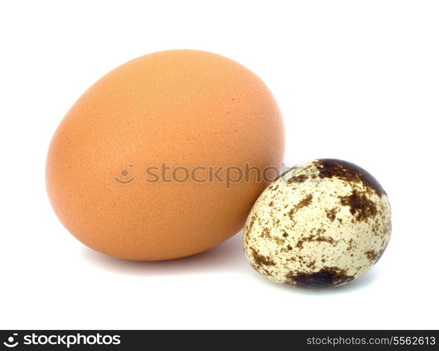 quail and hen&rsquo;s eggs isolated on white background close up