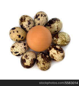 quail and hen&rsquo;s eggs isolated on white background close up