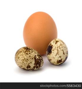 quail and hen&rsquo;s eggs isolated on white background close up