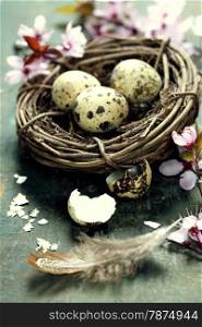 Quail easter eggs in a nest and spring cherry blossoms on wooden table