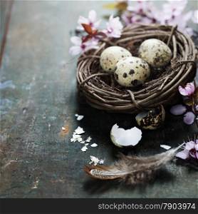 Quail easter eggs in a nest and spring cherry blossoms on wooden table