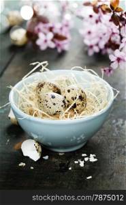 Quail easter eggs in abowl and spring cherry blossoms on wooden table