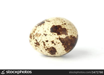 quail egg background isolated macro close up