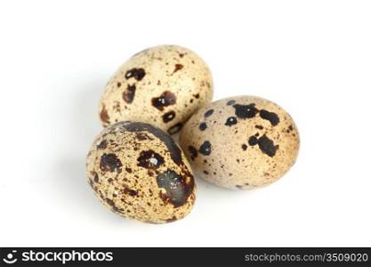 quail egg background isolated macro close up