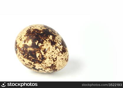 quail egg background isolated macro close up