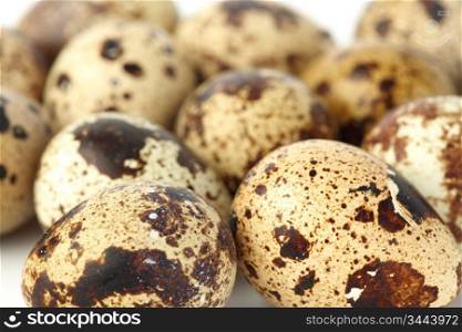 quail egg background macro close up