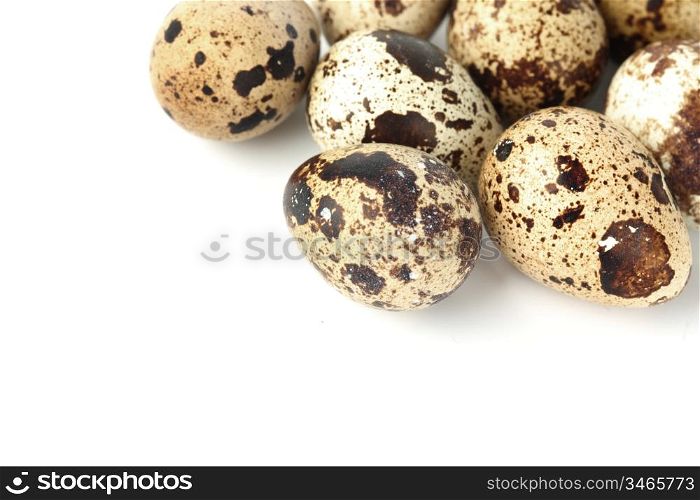 quail egg background macro close up