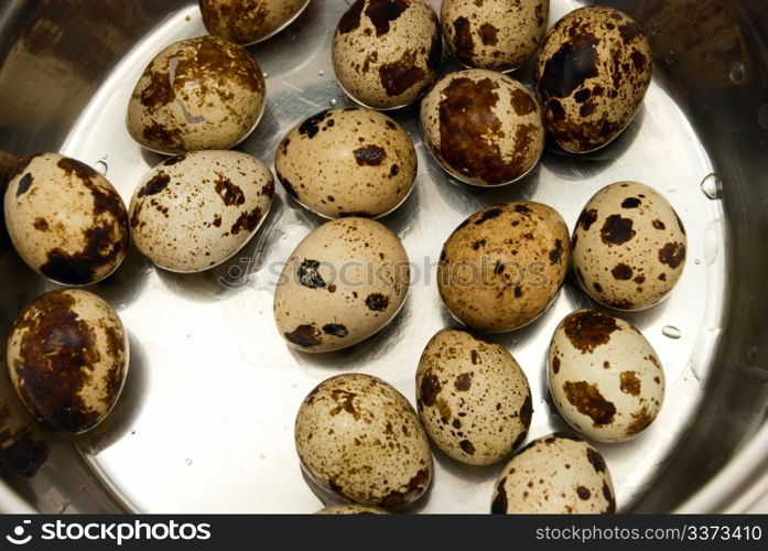 quail eggs