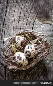 Quail eggs