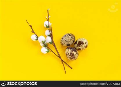 quail eggs and decorative willow branch on yellow paper background in minimal style. Easter concept. Template Creative Flat lay Top view Copy space lettering, text or your design.. quail eggs and decorative willow branch on yellow paper background in minimal style. Easter concept. Template Creative Flat lay Top view Copy space lettering, text or your design