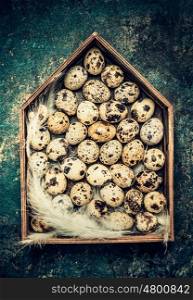 Quail eggs and feathers in wooden house decoration, top view