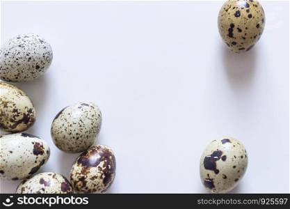 Quail eggs. Group of quail eggs isolated on white background. Closeup photo