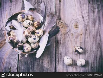 Quail eggs in a basket with feathers on a gray wooden surface, top view