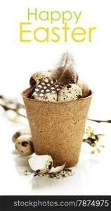 quail eggs in a flower pot