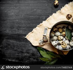 Quail eggs in a saucepan with a sprig of Bay leaf. On a black wooden background.. Quail eggs in a saucepan