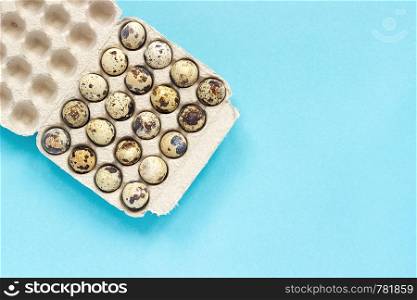 Quail eggs in cardboard box on blue paper background. Template Top view Copy space lettering, text or your design. Easter concept.. Quail eggs in cardboard box on blue paper background. Template Top view Copy space lettering, text or your design