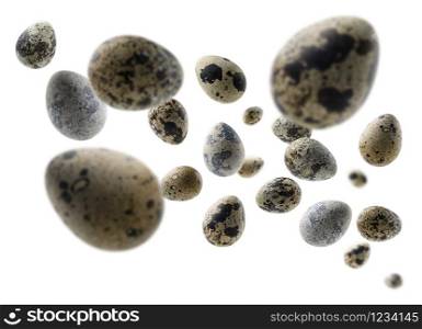Quail eggs in flight on a white background.. Quail eggs in flight on a white background