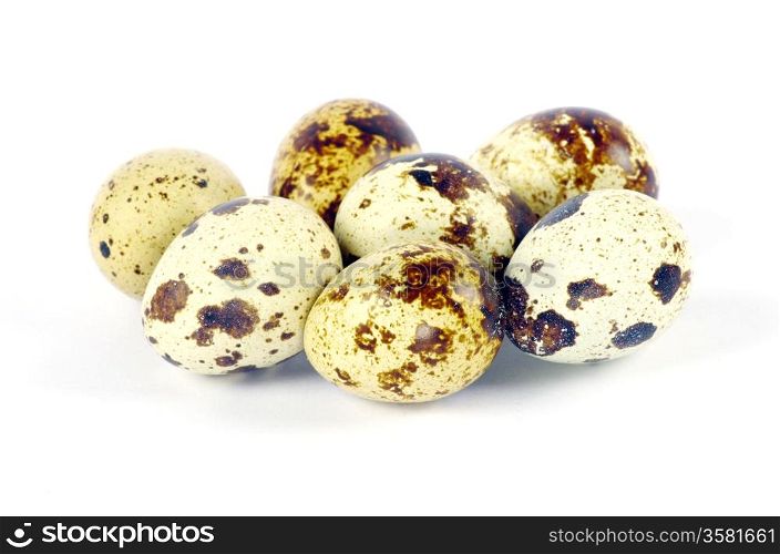 Quail eggs in isolated on white background