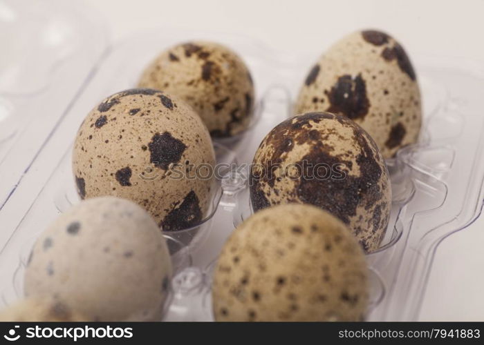 Quail eggs in transparent plastic container