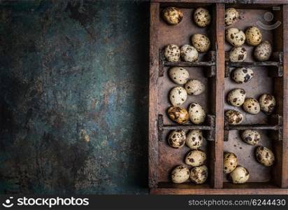 Quail eggs in wooden box on rustic background, top view, place for text