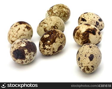 quail eggs isolated on white background close up