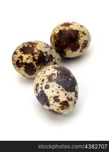 quail eggs isolated on white background close up