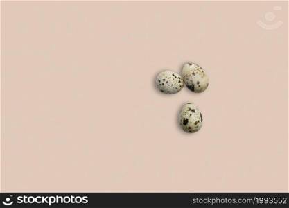 Quail eggs isolated on white background, top view. added copy space for text.