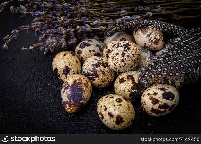 quail eggs on dark old background