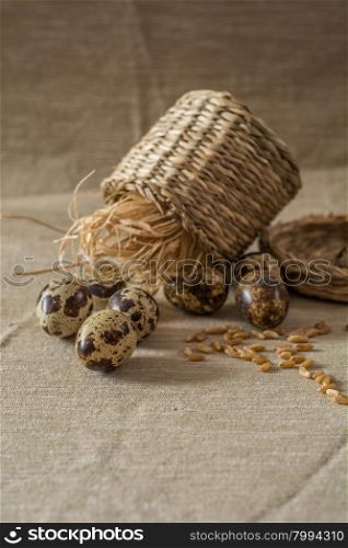 Quail eggs,wheat and eggbeater on grey background