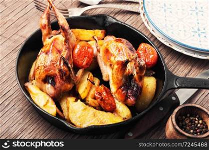 Quail roasted with a garnish of potatoes in pan. Baked whole quail with potatoes