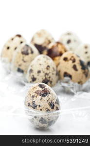 quail&rsquo;s eggs in packing on white