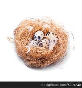 Quail&rsquo;s eggs in the nest closeup