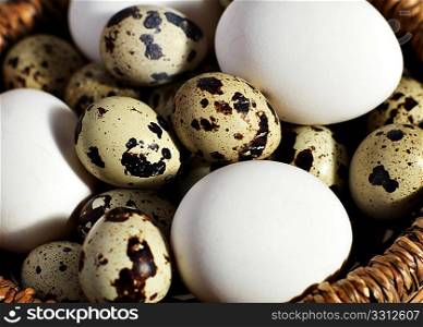 Quails&acute; eggs and hens&acute; eggs in a rattan basket