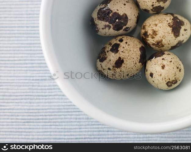 Quails egg