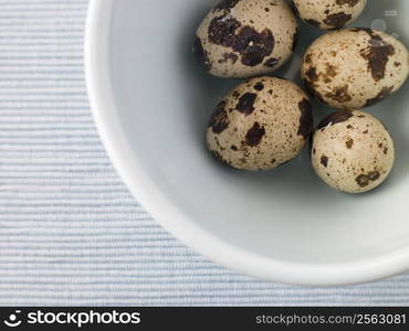 Quails egg