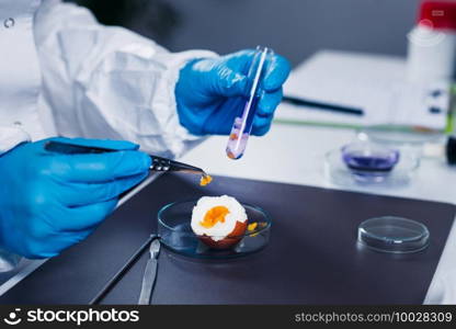 Quality control expert inspecting at egg in the laboratory