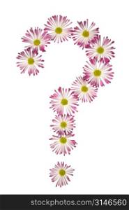 Question Mark Made Of Pink And White Daisies