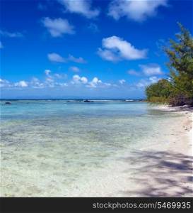 Quiet bay of the island Gabriel. Mauritius