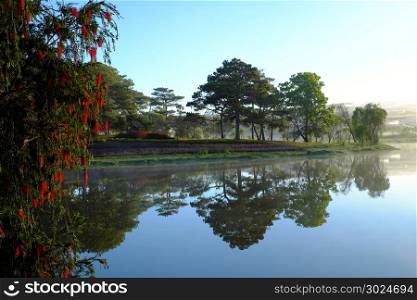 Quiet, calm and peaceful scenery of Than Tho lake, Da Lat city, Viet Nam in early morning, pine tree in forest reflect on water make romantic and fresh view for ecotourism in summer