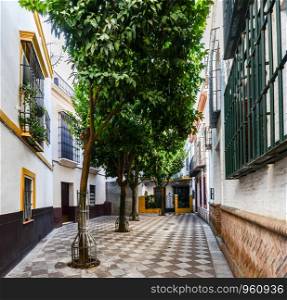 Quiet cul de sac in the famous neighborhood of Holy Cross, also known as Barrio de Santa Cruz, Seville, Andalusia, Spain, a former Jewish Quarter - wide angle view. Quiet cul de sac in Santa Cruz, Seville, Andalusia, Spain