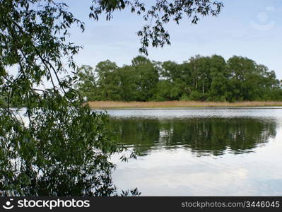 quiet lake landscape with trees on the shore