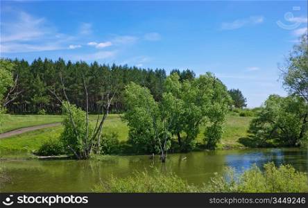 quiet lake landscape with trees on the shore