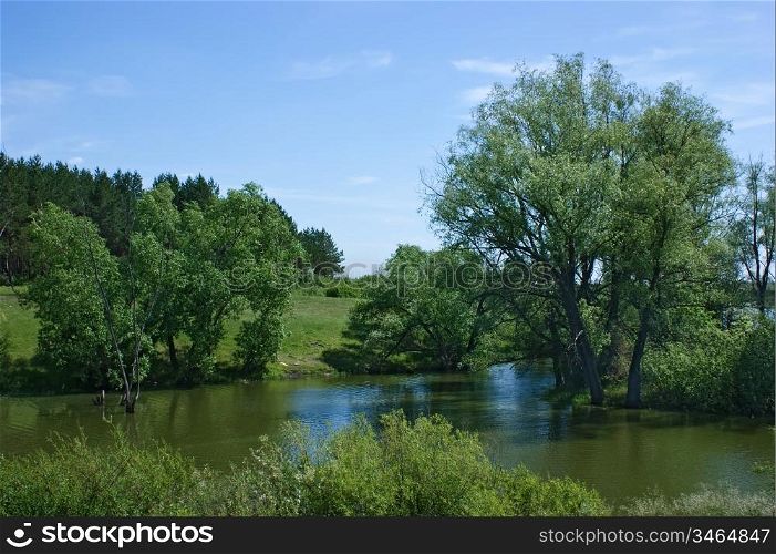 quiet lake landscape with trees on the shore