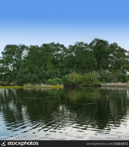 quiet lake landscape with trees on the shore