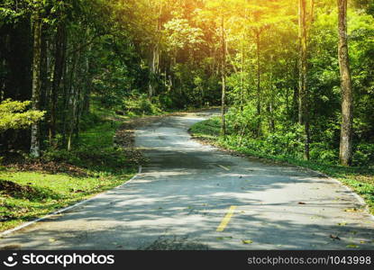 quiet road to forest with tree on the roadside / Country road curve natural