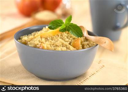 Quinoa porridge with apple and cinnamon, which is a traditional Peruvian breakfast, garnished with mint leaf served in a bowl (Selective Focus, Focus on the apple slice in the middle of the porridge)
